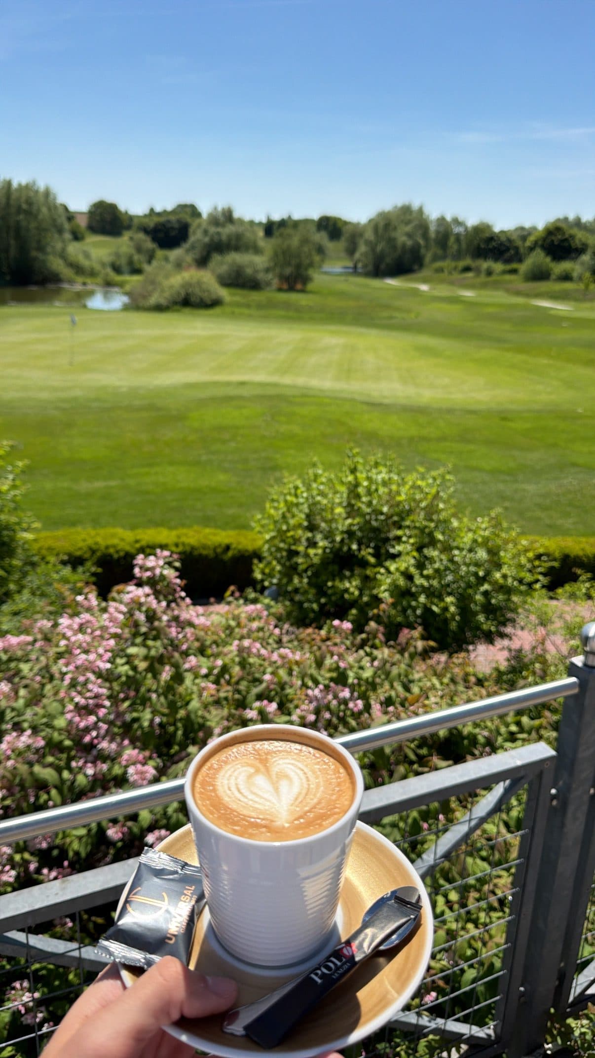 A cappuccino with latte art in front of roses in bloom and the golf course